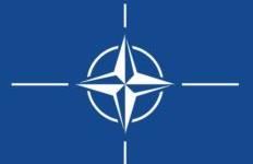 Tërmetet brenda NATO-s dhe komoditeti ynë i budallëm