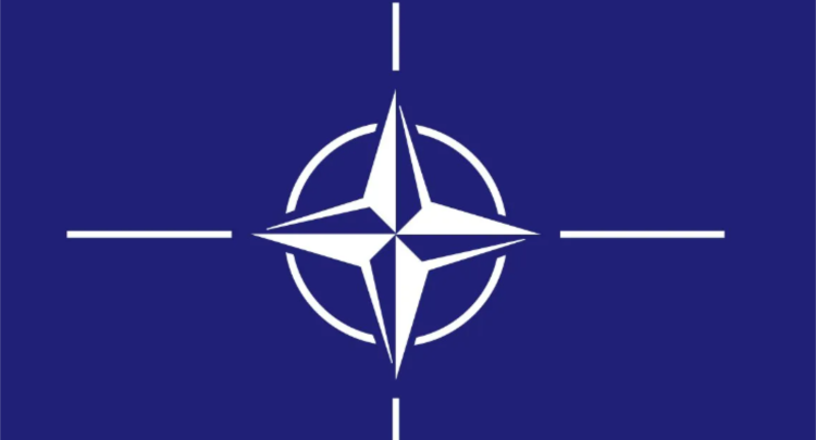 E vërteta e Shqipërisë në NATO!