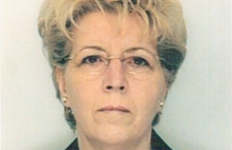 Kur rrënjët shqiptare tretën nën themelet e xhamive