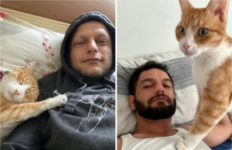 A mund të shpëtojë një mace jetën e një njeriu? Ja çfarë ndodhi me këtë të ri nga Turqia