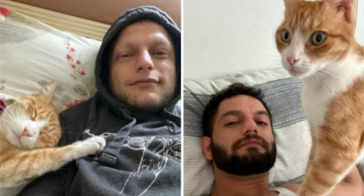 A mund të shpëtojë një mace jetën e një njeriu? Ja çfarë ndodhi me këtë të ri nga Turqia