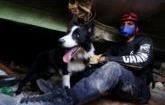 Një qen i braktisur u bë heroi i Venezuelës: Historia e qenit 'Cunami', shpresa që lindi nga rrënojat