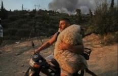Një shqiptar në mesin e 12 fotove më ikonike të vitit 2025 sipas BBC