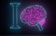 Studimi i fundit: Shqiptarët ndër 20 kombet me IQ më të lartë, të parët në Ballkan