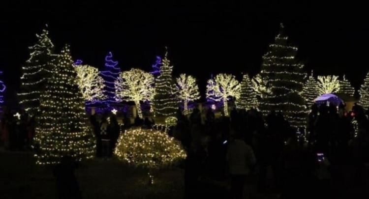 Dritat e Krishtlindjes në Pjetërshtan, homazh për gratë e vrara