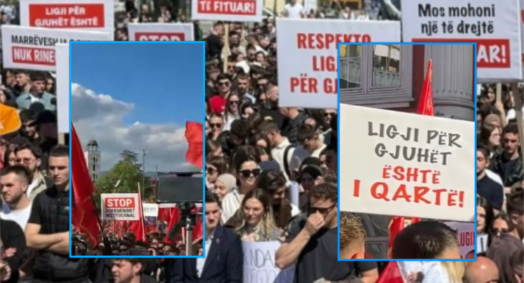 ‘Gjuha shqipe është amanet’: Mes arrestimeve, përfundon protesta e studentëve shqiptarë në Shkup