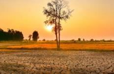 Paralajmërimi i OKB: Fenomeni El Niño është jashtëzakonisht i fortë, çfarë tregojnë të dhënat për Evropën?