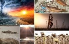 Çfarë bote na pret deri në vitin 2050, pikërisht kur njerëzimi të arrijë kulmin e popullsisë – mund të ndodhë katastrofa e biodiversitetit