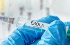 Vaksina e re kundër virusit Ebola hyn në fazën e provave klinike në Afrikë