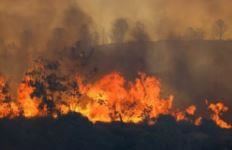 Europa përvëlohet nga i nxehti/Zjarre dhe temperatura deri në 40 gradë në Spanjë, Francë e Itali