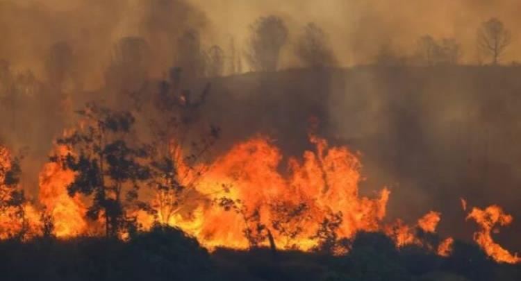 Europa përvëlohet nga i nxehti/Zjarre dhe temperatura deri në 40 gradë në Spanjë, Francë e Itali