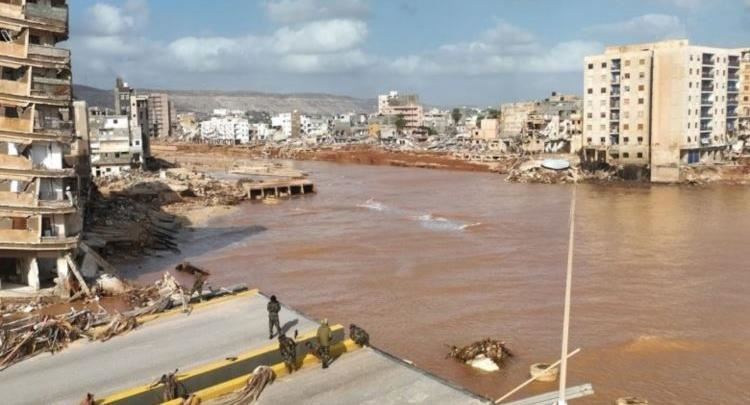 Zhytësit ndërkombëtarë zbuluan tragjedi të tmerrshme në portin e Dernës