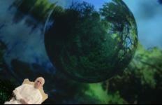 Papa për klimën: nuk ka gjithmonë vullnet politik për të zbatuar marrëveshjen e Parisit