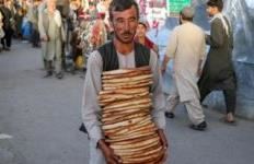 Selia e Shenjtë: progresi duhet të garantojë akses të qëndrueshëm në ushqim