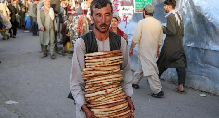 Selia e Shenjtë: progresi duhet të garantojë akses të qëndrueshëm në ushqim