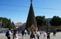 Krishtlindja kthehet në Betlehem pas dy vitesh lufte! Ndizen dritat në pemën e madhe në sheshin “Manger”