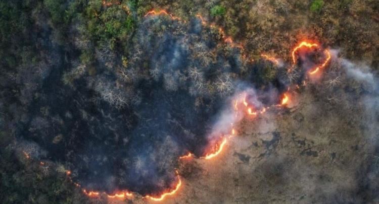 Zjarrfikësit të mbingarkuar: Në Ballkan shpërthejnë zjarre