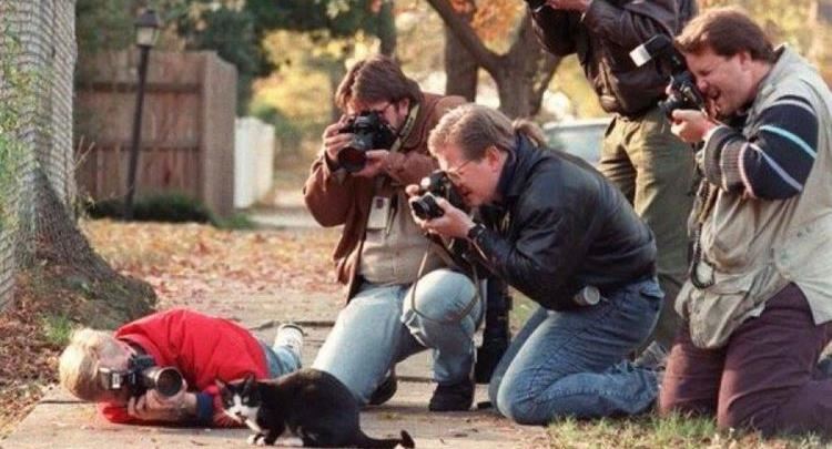 Paparacët duke fotografuar macen e Bill Clinton